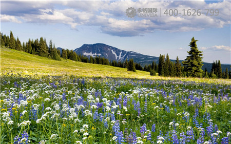 干货!想知道加拿大各省移民政策就戳进来!